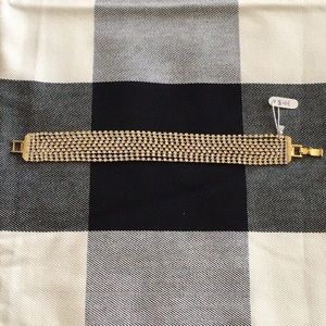 NWT chain with stones bracelet.